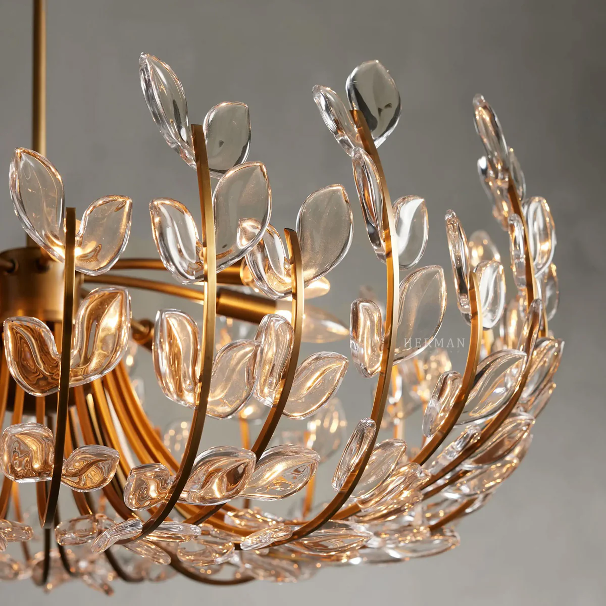 Adela 6 Light Chandelier - Image 15