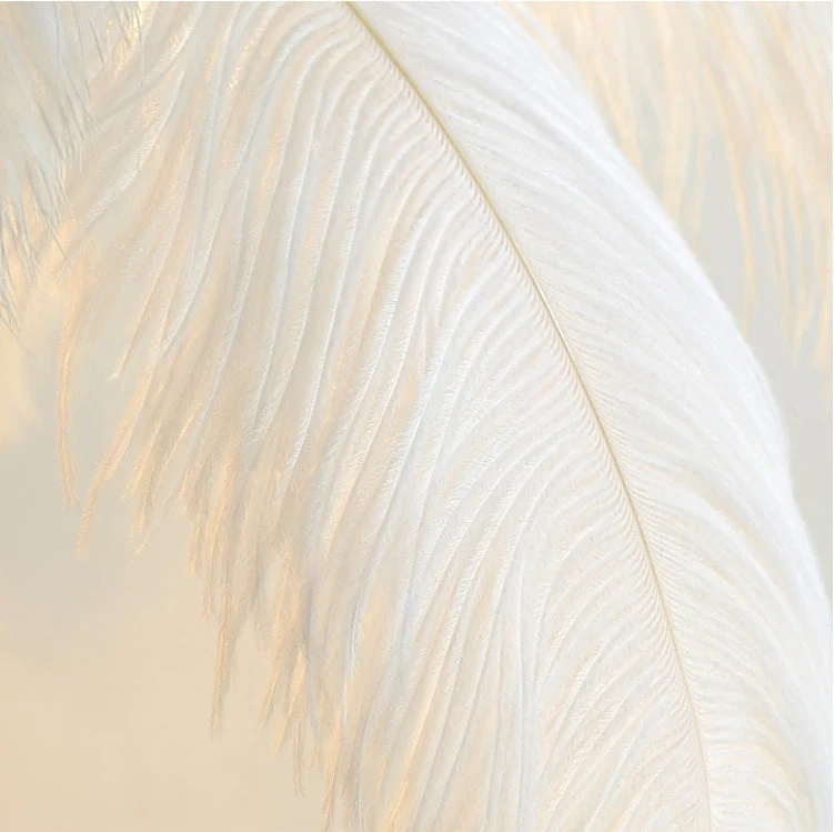 Aisa Featherly Ostrich Feathe Table Lamp - Image 6