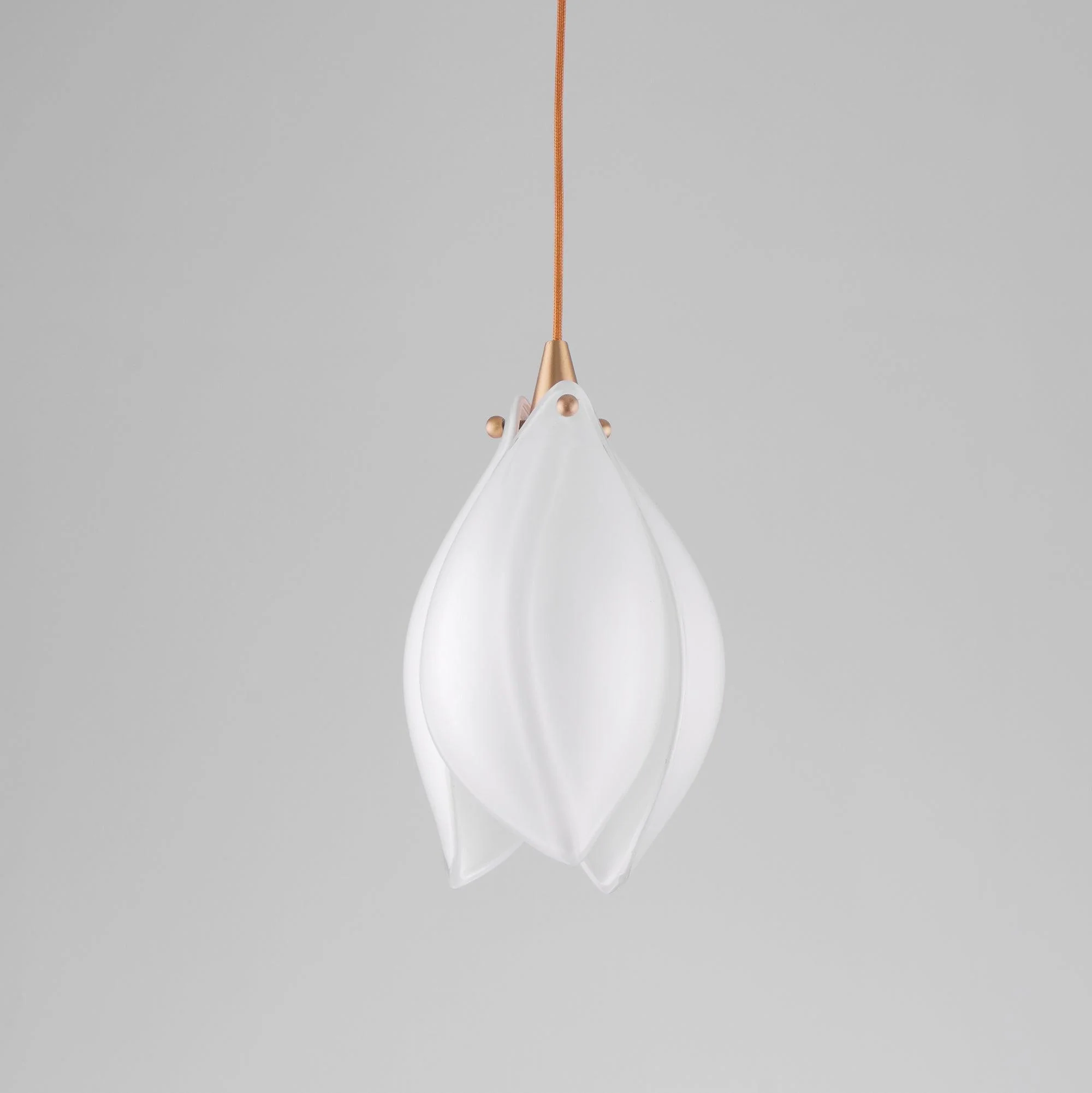 Celeste Flora Pendant Light - Image 27