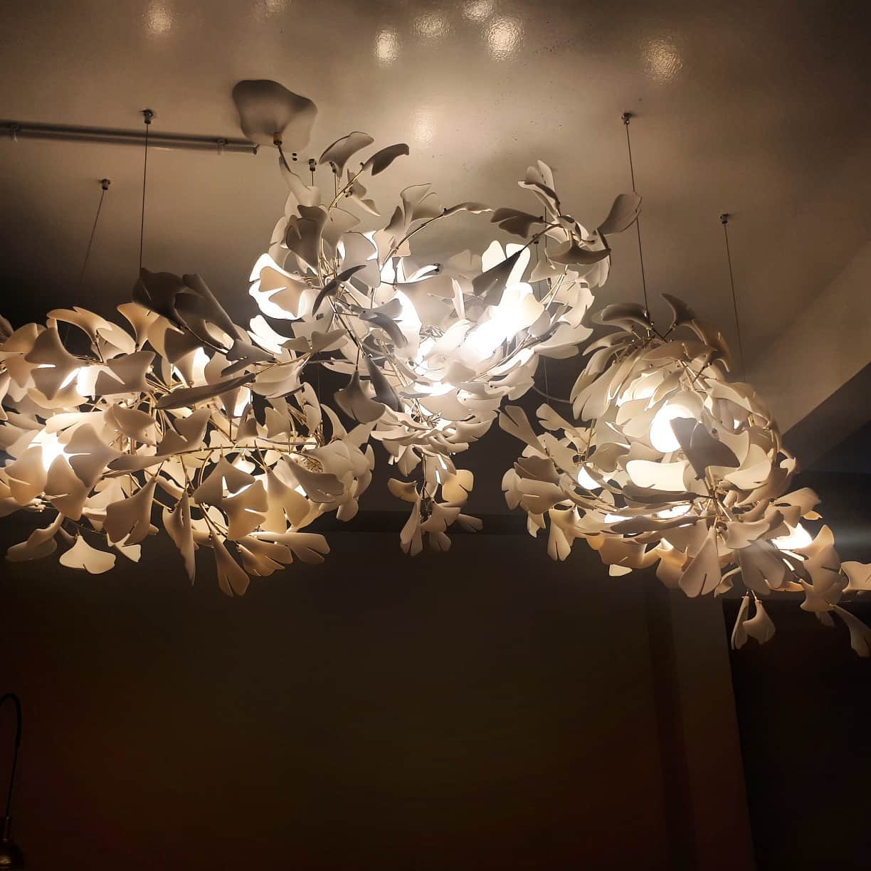 Gingko Leaves Chandelier - Image 53