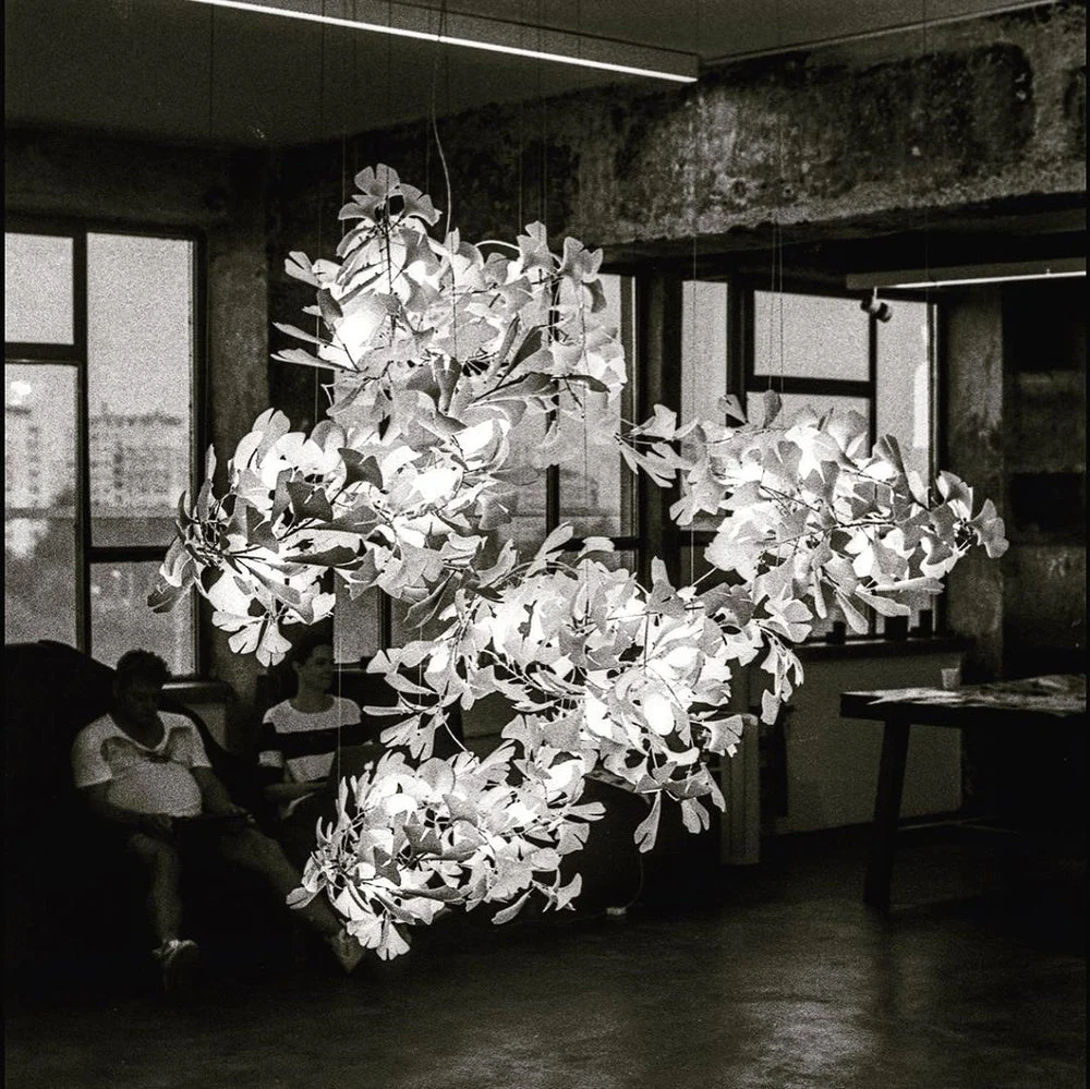 Gingko Leaves Chandelier - Image 75