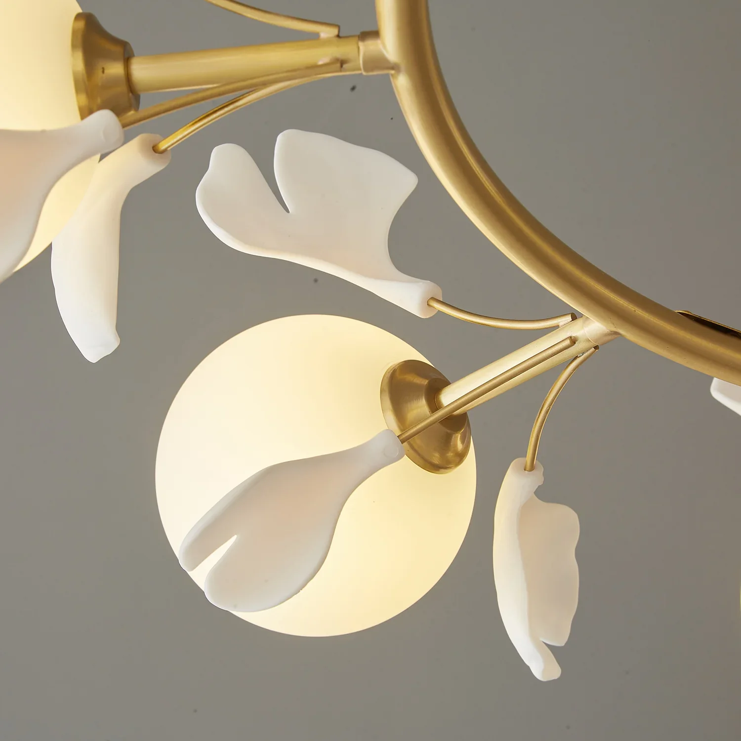 Evander Gingko Chandelier - Image 11