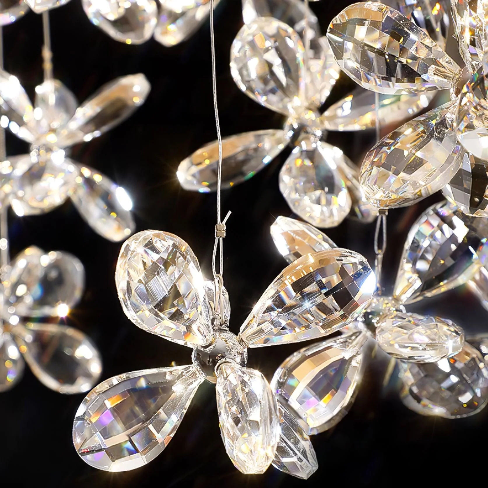 Floating Butterfly Chandelier - Image 33