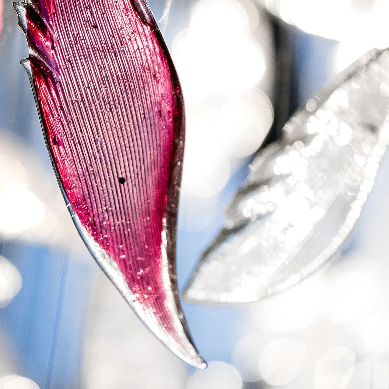 Flying Glass Feather Chandelier - Image 14