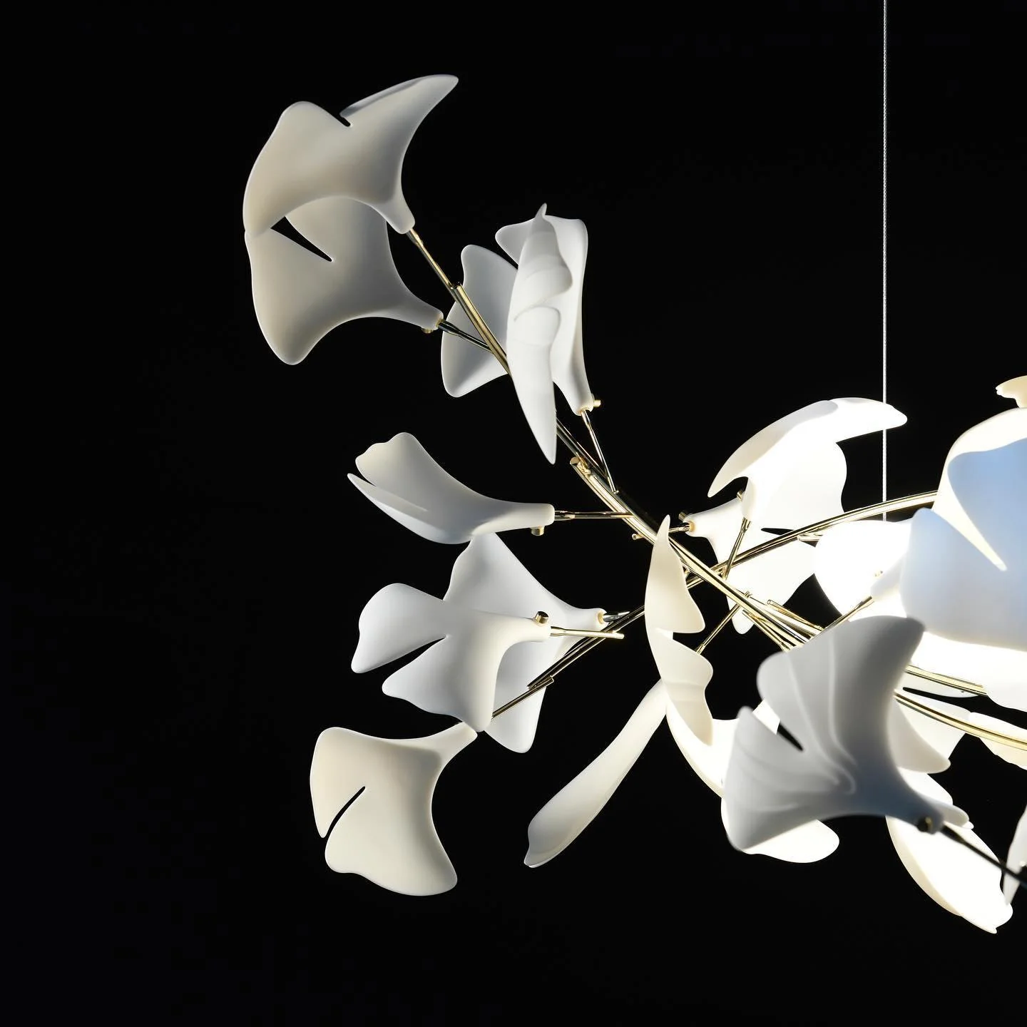 Gingko Chandelier A - Image 30
