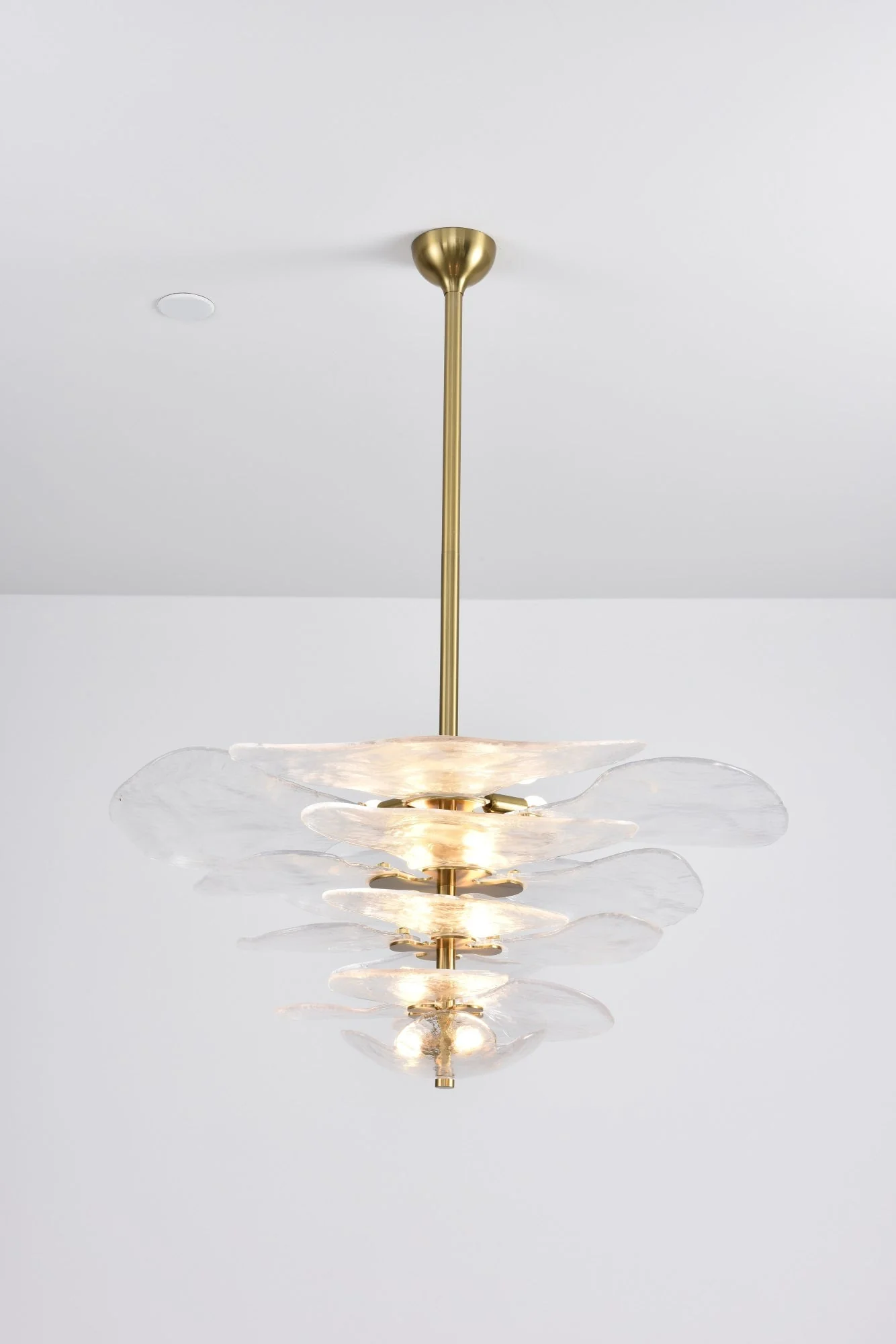 Petals Gold Murano Chandelier - Image 102