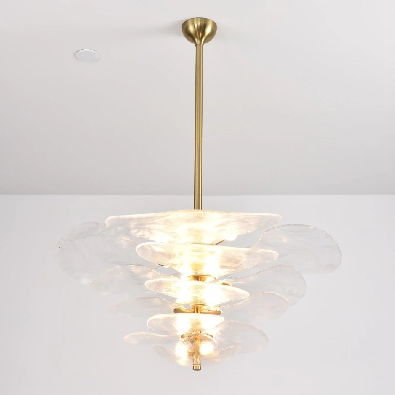 Petals Gold Murano Chandelier - Image 24