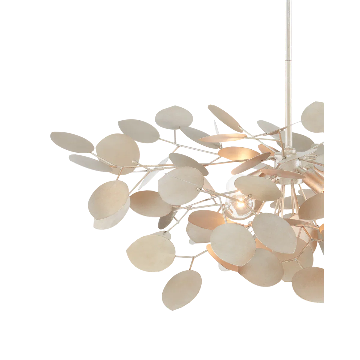 Lanria 4 - Light Chandelier - Image 7