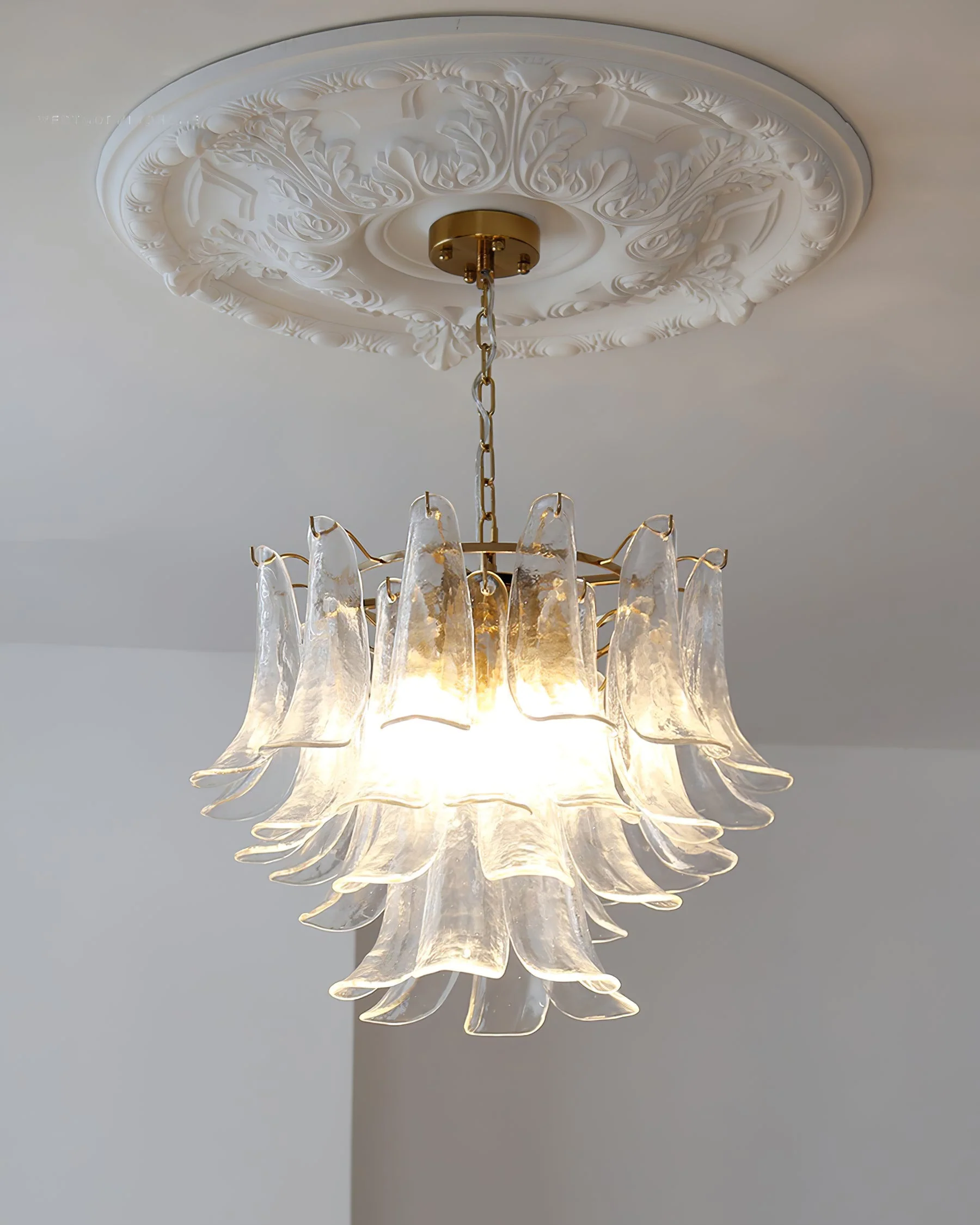 Murano Chandelier - Image 21