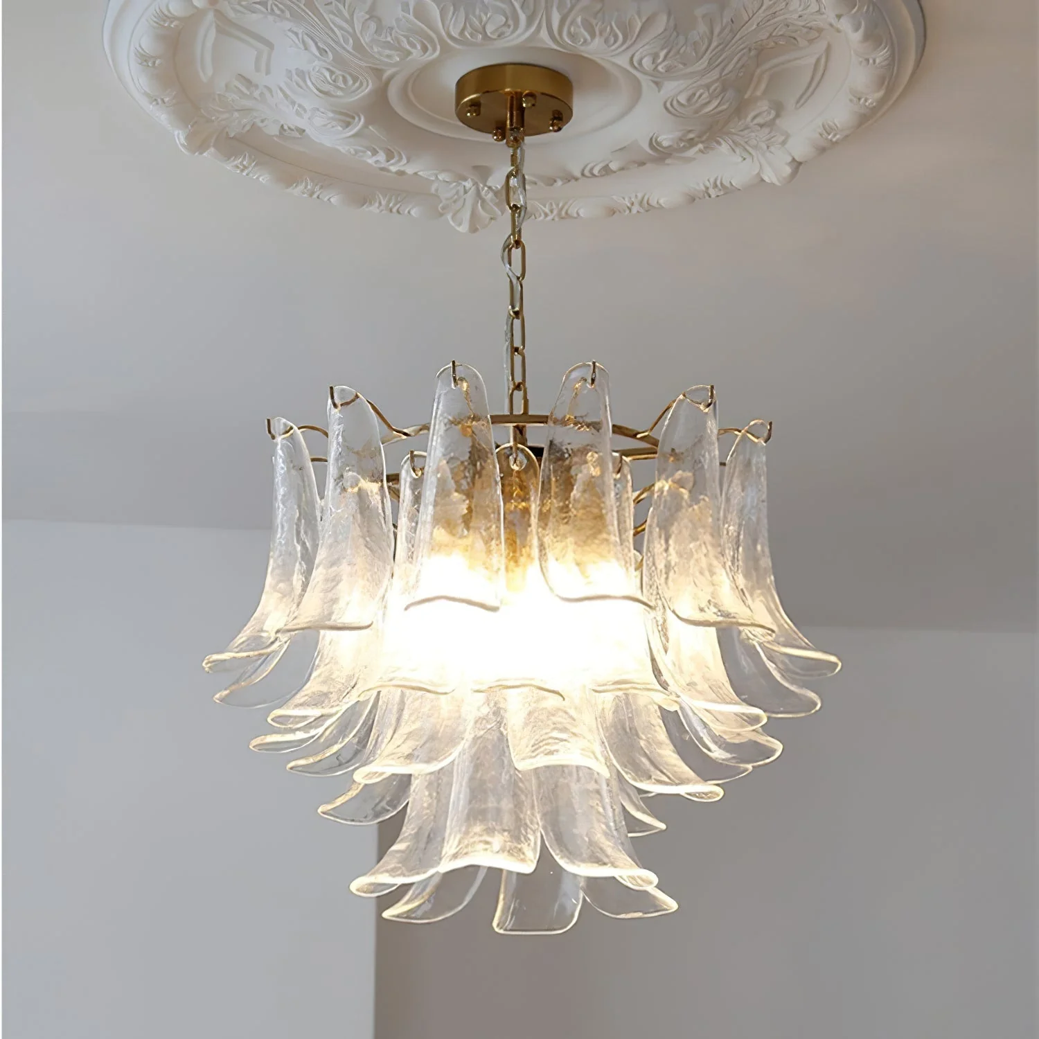 Murano Chandelier - Image 46