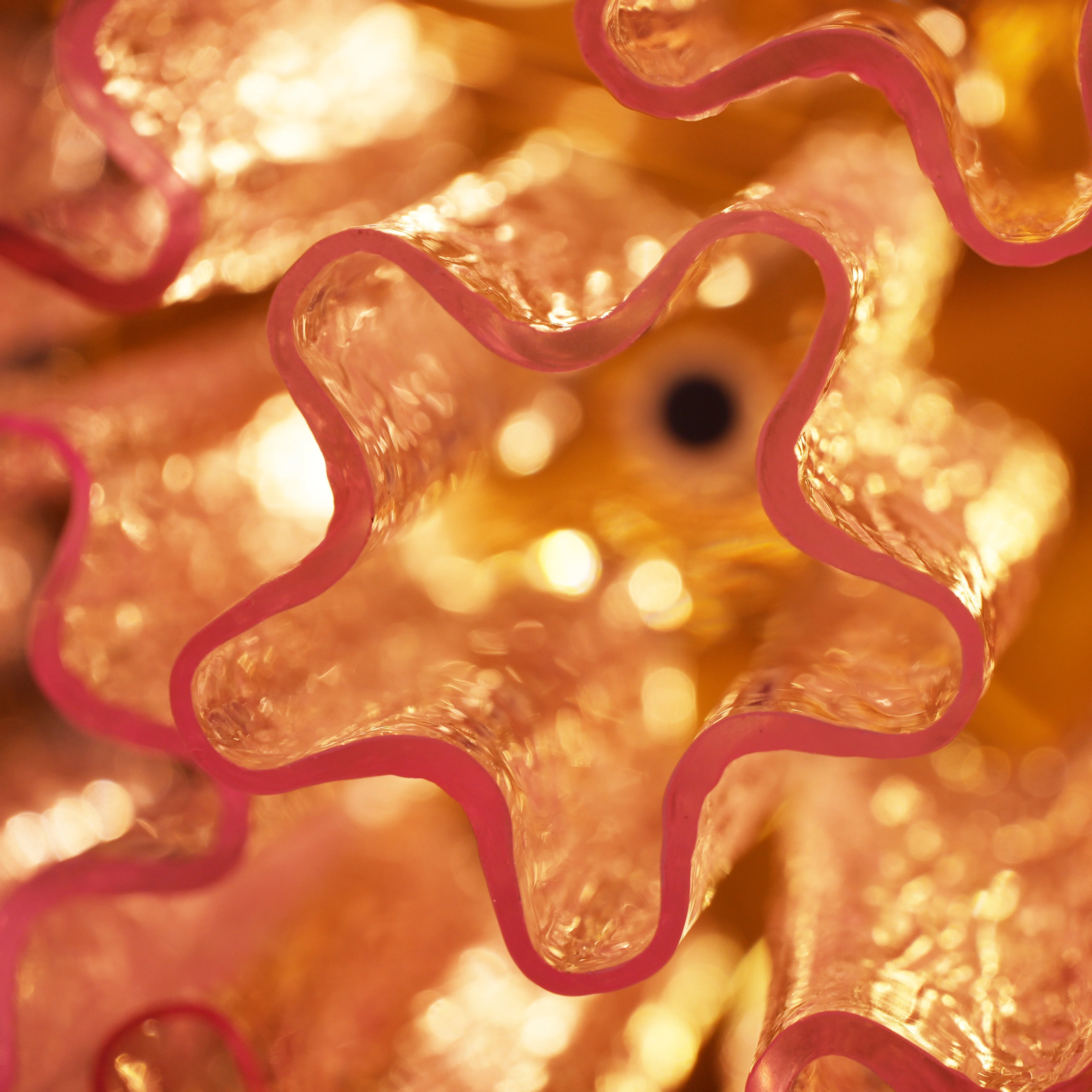 Murano Pink Glass Ceiling Light - Image 36