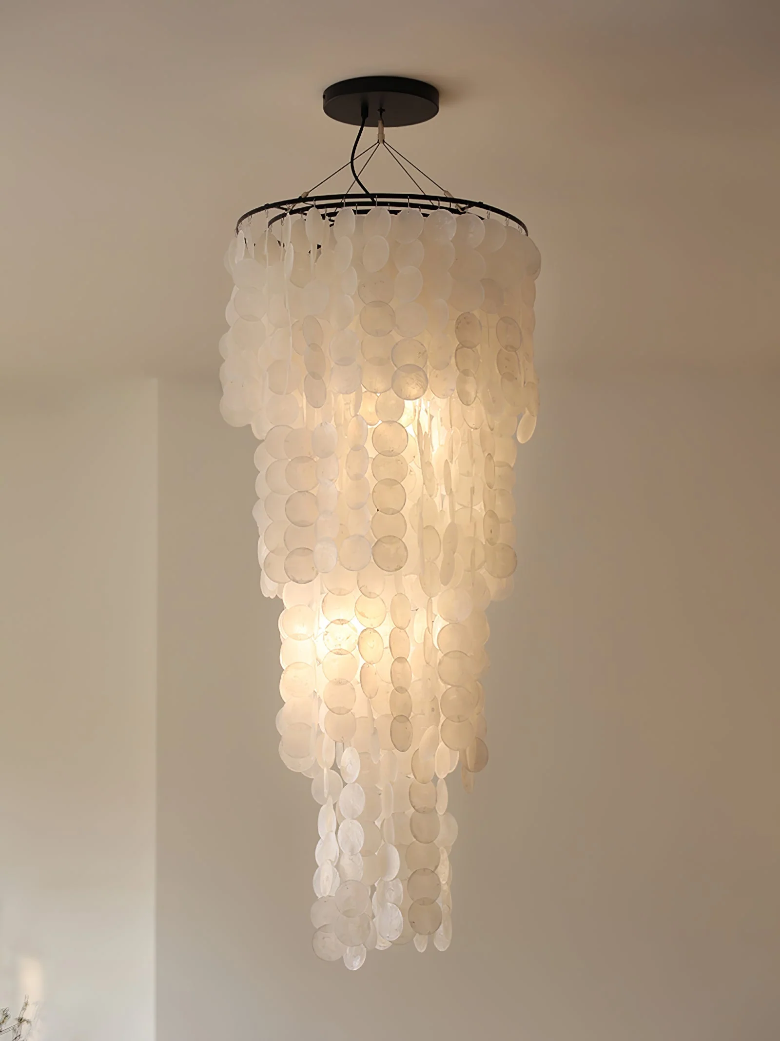 Nerida Shell Chandelier - Image 16