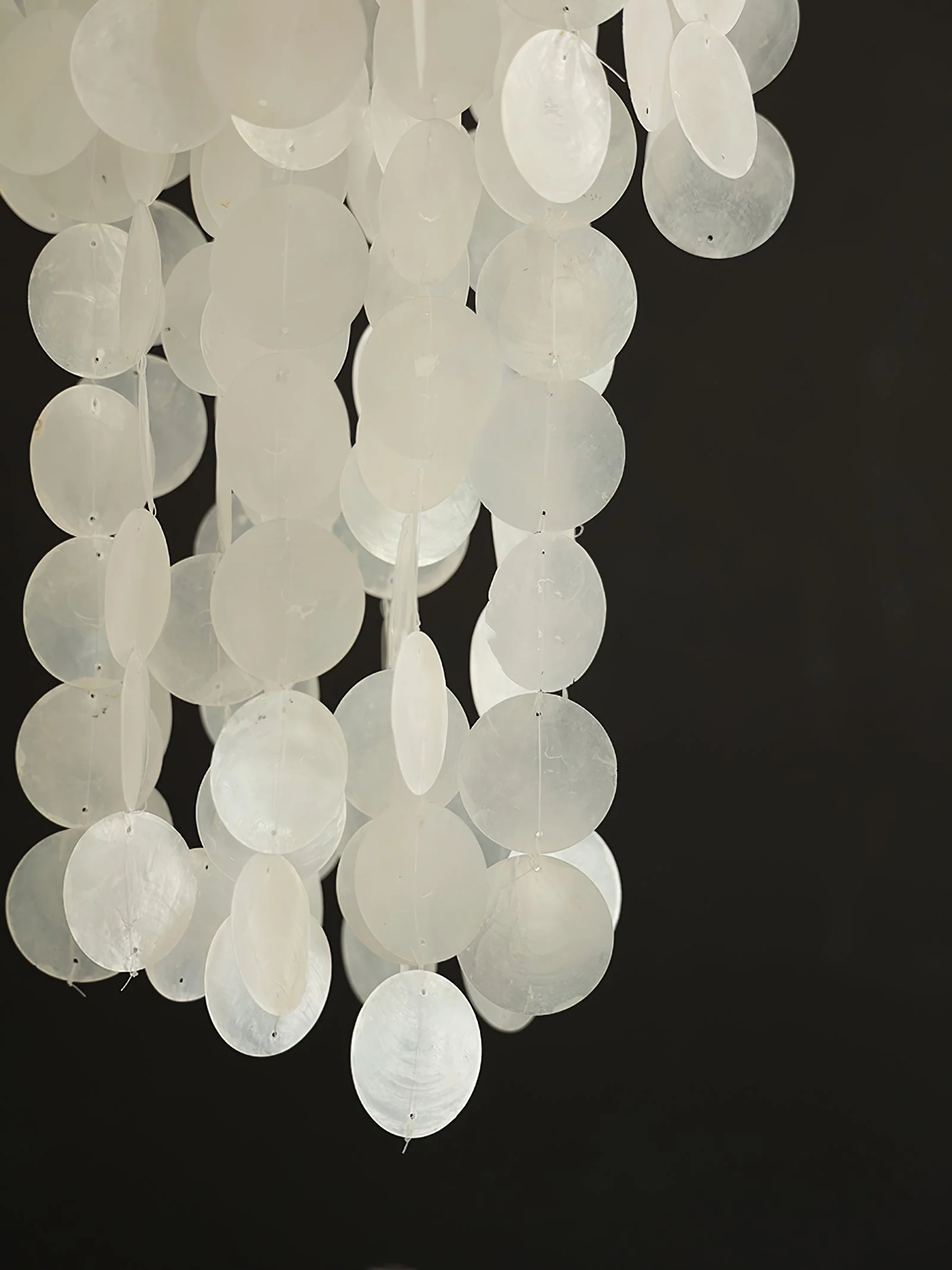 Nerida Shell Chandelier - Image 37