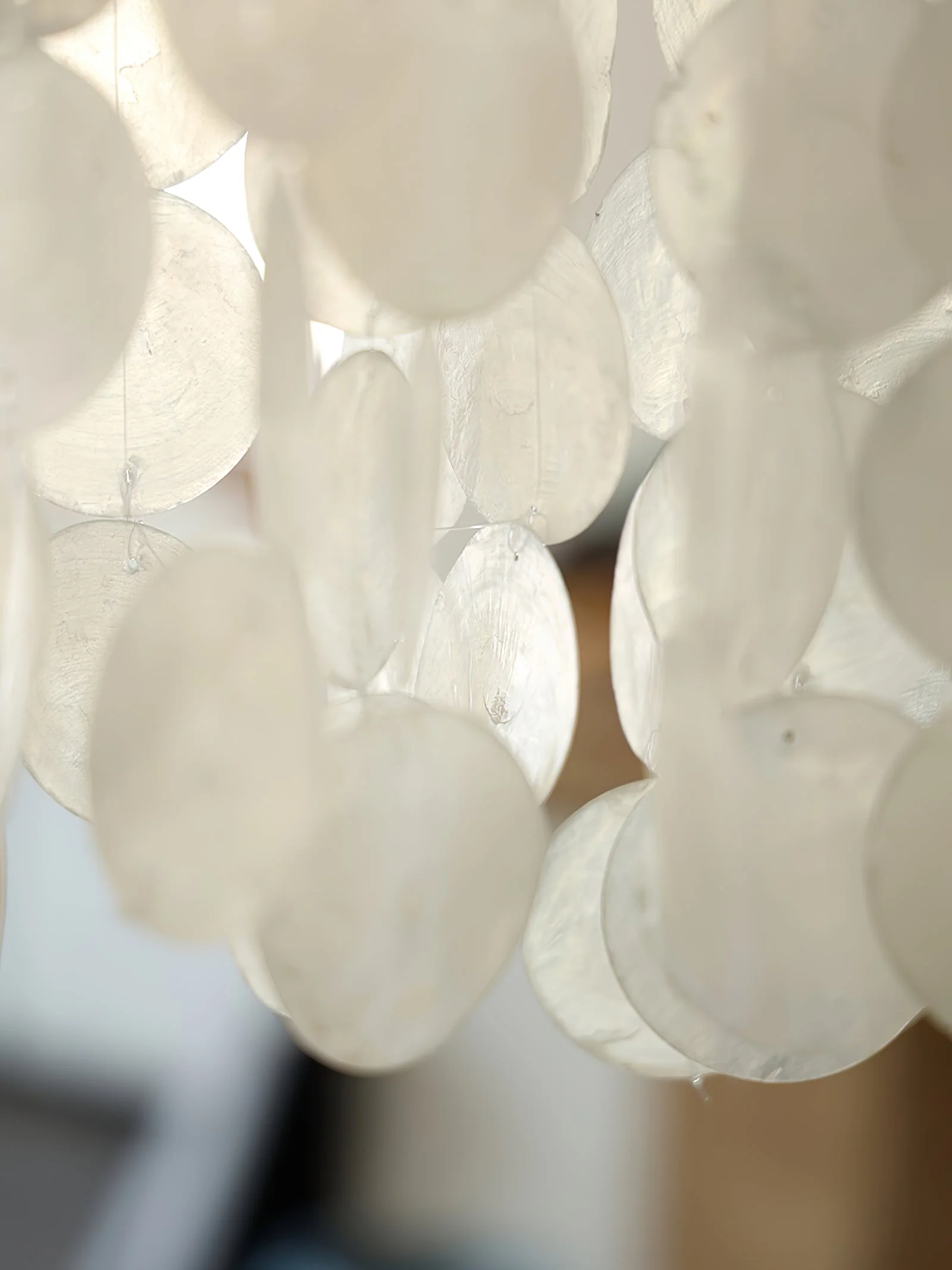 Nerida Shell Chandelier - Image 42